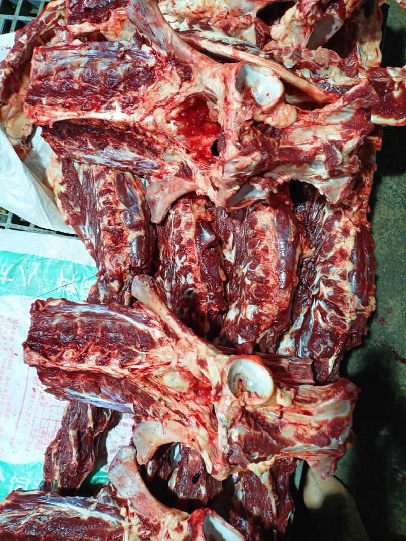 蝎子。驴蝎子，驴骨头，脖骨骨头，肉多驴骨头