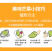 广西大青芒金煌芒大芒果新鲜水果应季果蔬批发零售市场超市贸