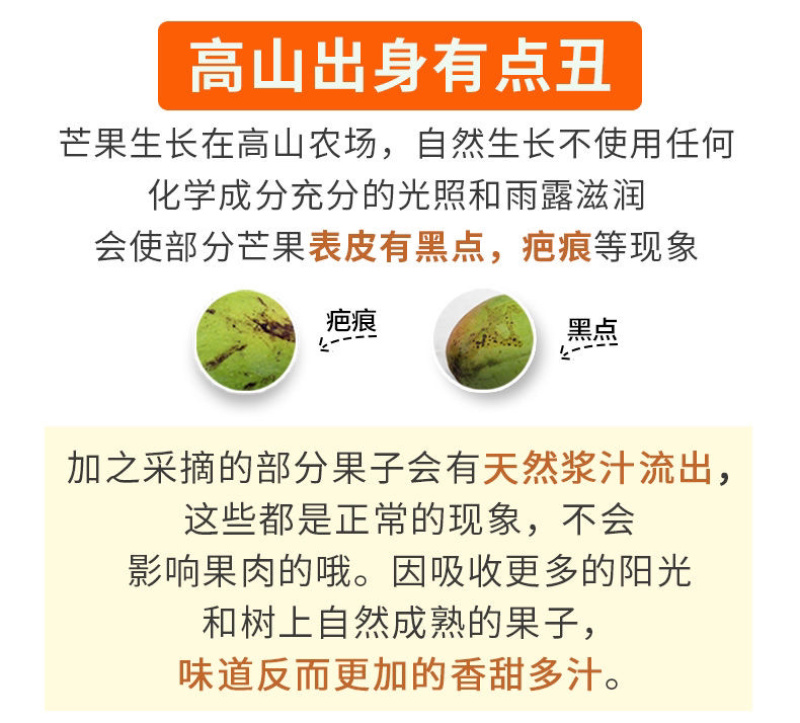 广西大青芒金煌芒大芒果新鲜水果应季果蔬批发零售市场超市贸