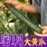 密刺黄瓜水果黄瓜旱黄瓜黄瓜产地一手货源保质保量