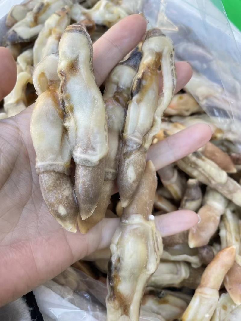 赤贝肉赤贝肉干冰赤贝肉毛蚬子肉干冰赤贝肉