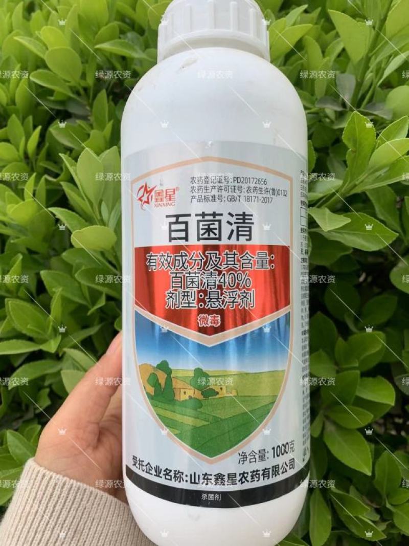 鑫星40%百菌清早疫病杀菌剂番茄早疫病农药