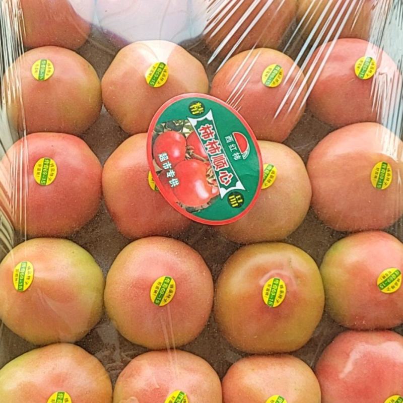 口感西红柿大量有货，需要的客户与我电话联系