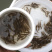 刺鳅苗，技术指导，科学运输，专业养殖技术，基地发货