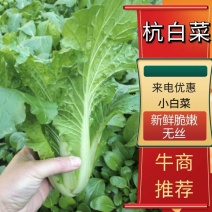 【好货降价】杭白菜新鲜脆嫩无丝小白菜量大从优