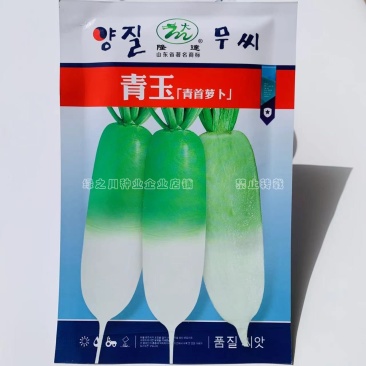 青首萝卜种子韩国引进新品种口感甜脆青萝卜籽种春秋两季萝卜