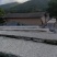【精选】茯苓干货茯苓茯苓丁茯苓块无硫欢迎下单