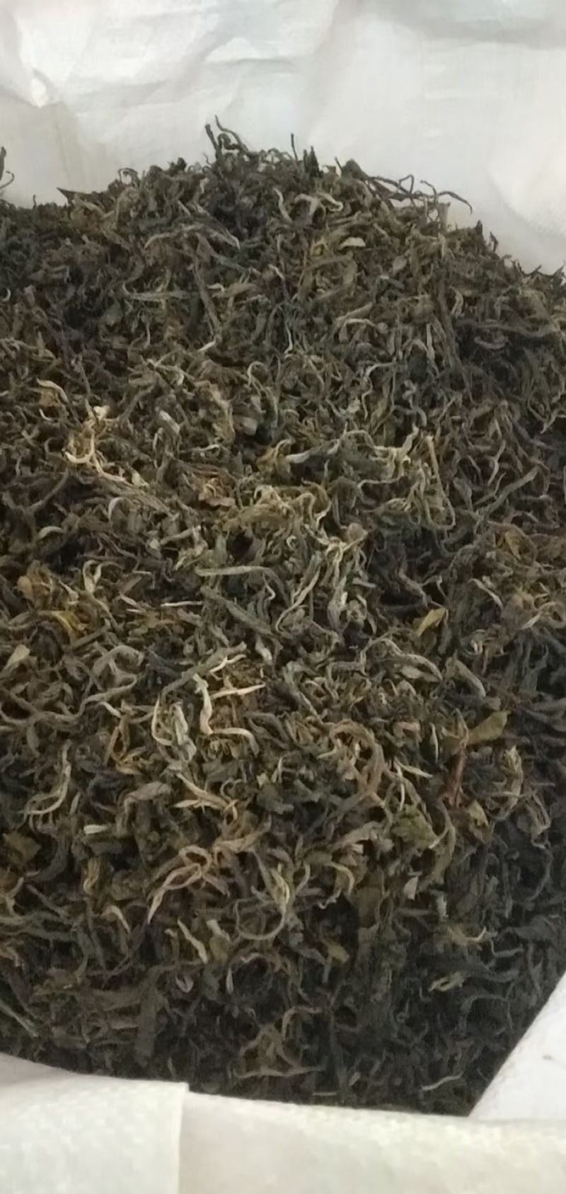 原生态古树茶