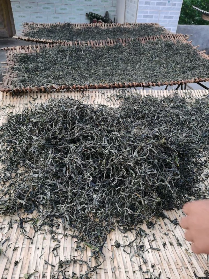 原生态古树茶