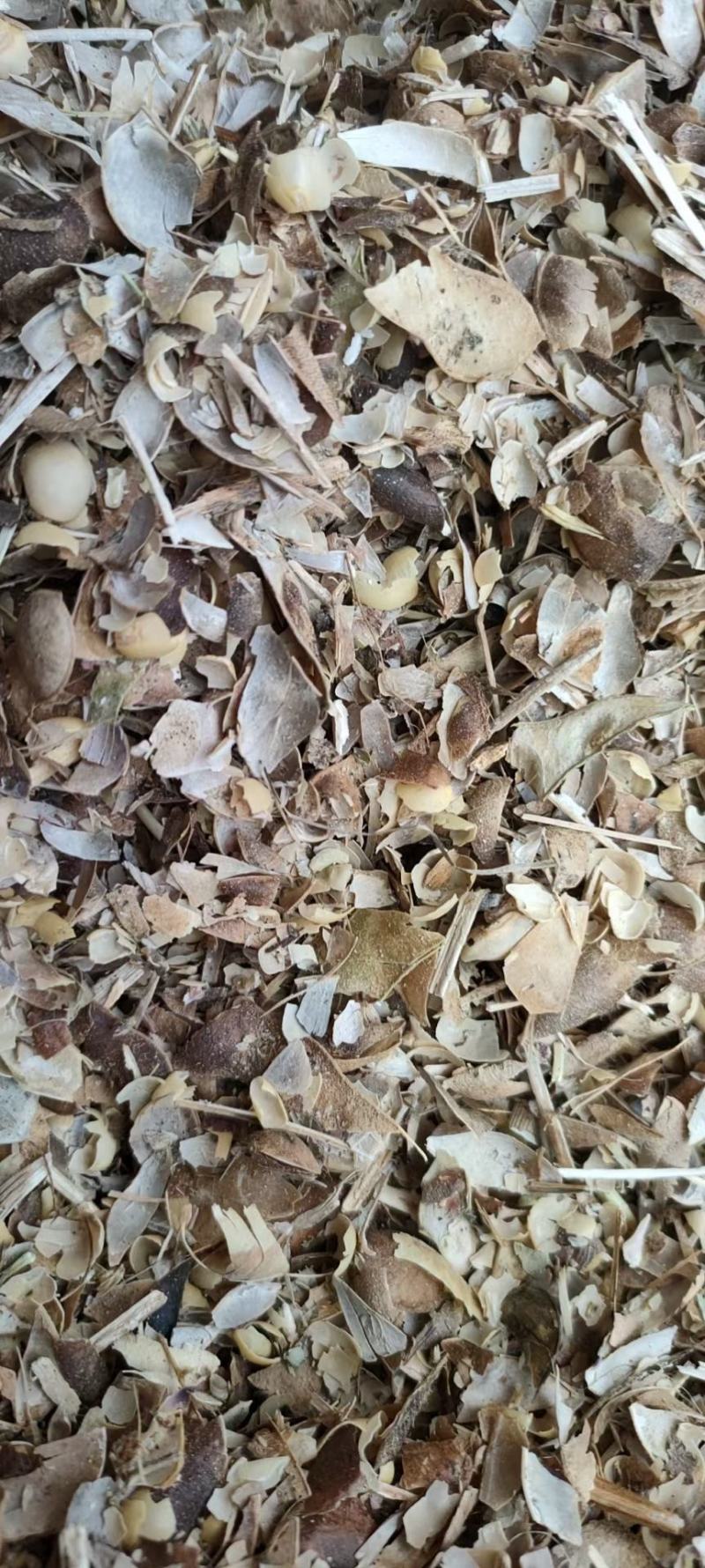 大豆荚皮，大豆收获后副产品，无土，无膜，袋装，牛羊饲喂