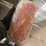 猪副产品纯干无冰新鲜一级梅花肉全国接单欢迎各位老