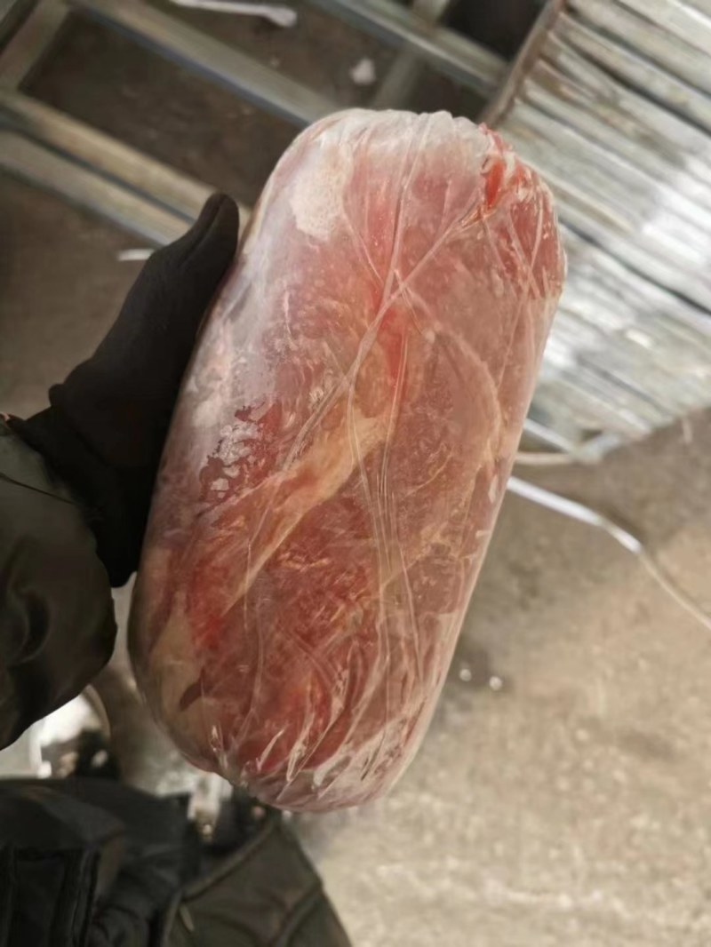 猪副产品纯干无冰新鲜一级梅花肉全国接单欢迎各位老