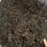 批发.蒲公英叶500叶子蒲公英叶茶泡茶蒲公英茶花果茶花草
