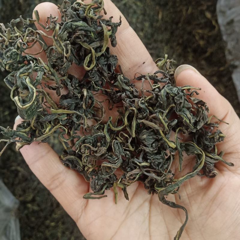 批发.蒲公英叶500叶子蒲公英叶茶泡茶蒲公英茶花果茶花草