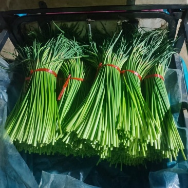 蒜苔，红帽蒜苔