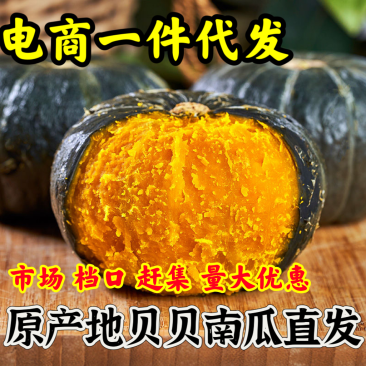 山东正宗贝贝南瓜一件代发批发整车发板栗南瓜爆粉