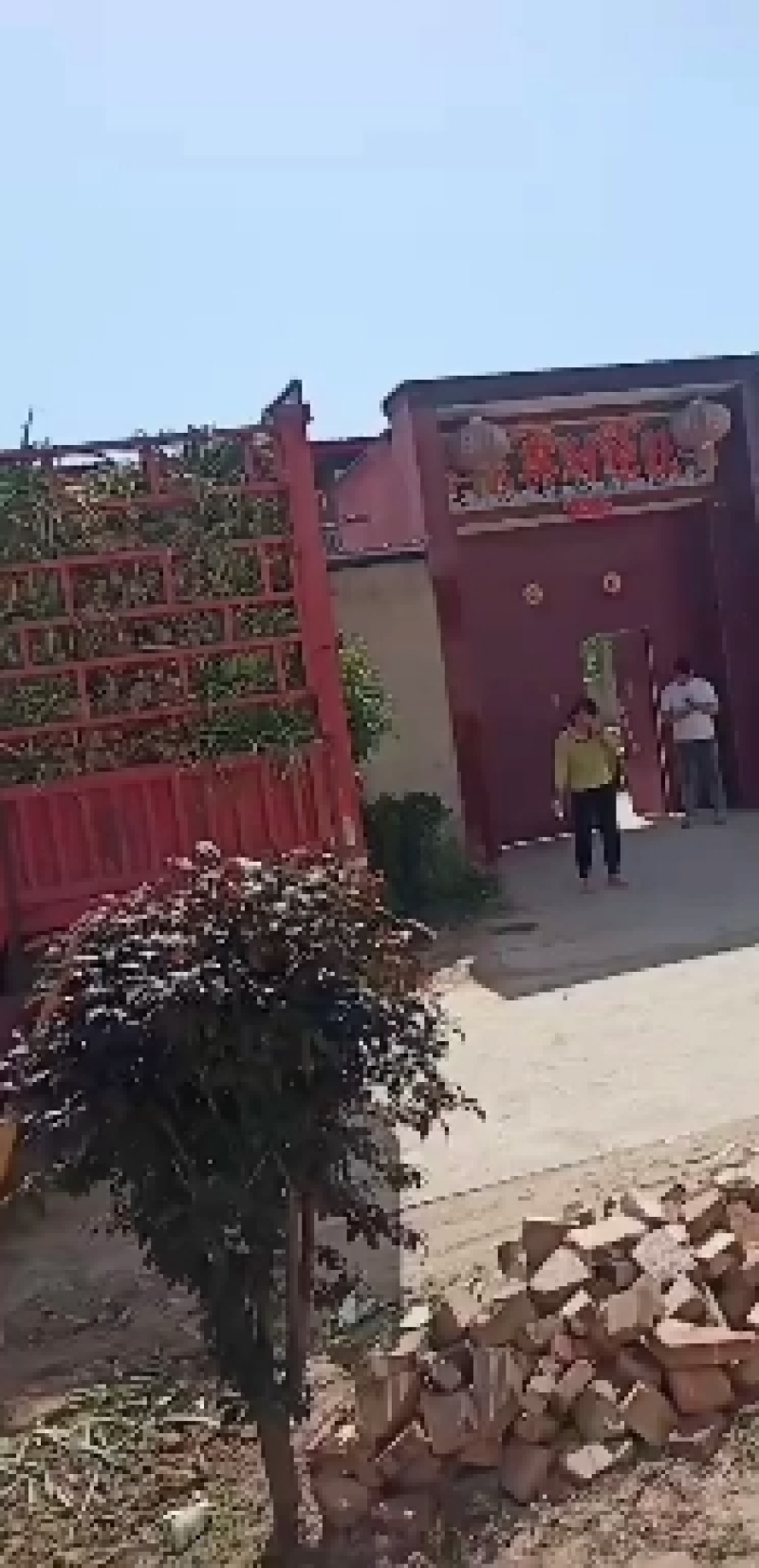 蒜头，紫皮蒜把子蒜，产地直发，诚信经营电商超市