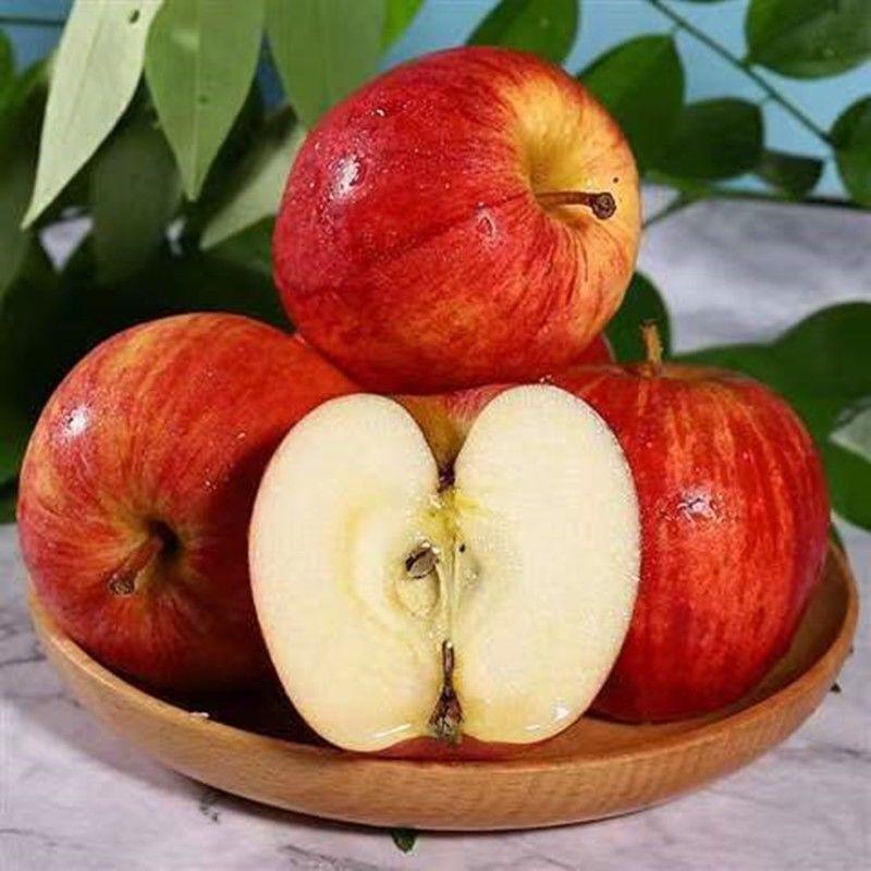 新西兰进口苹果嘎啦果gala加力果皇家姬娜果当季脆甜苹果