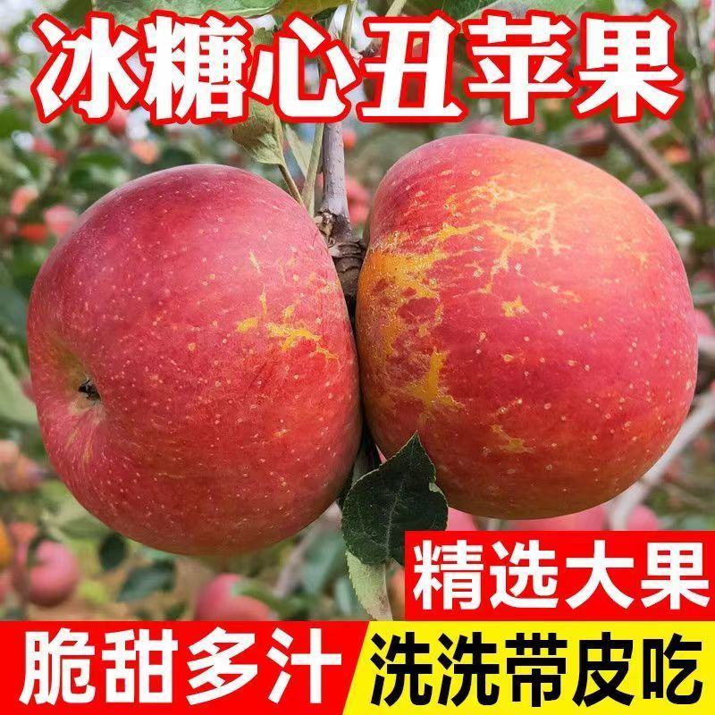 四川大凉山盐源糖心丑苹果盐源苹果西昌糖心苹果红将军