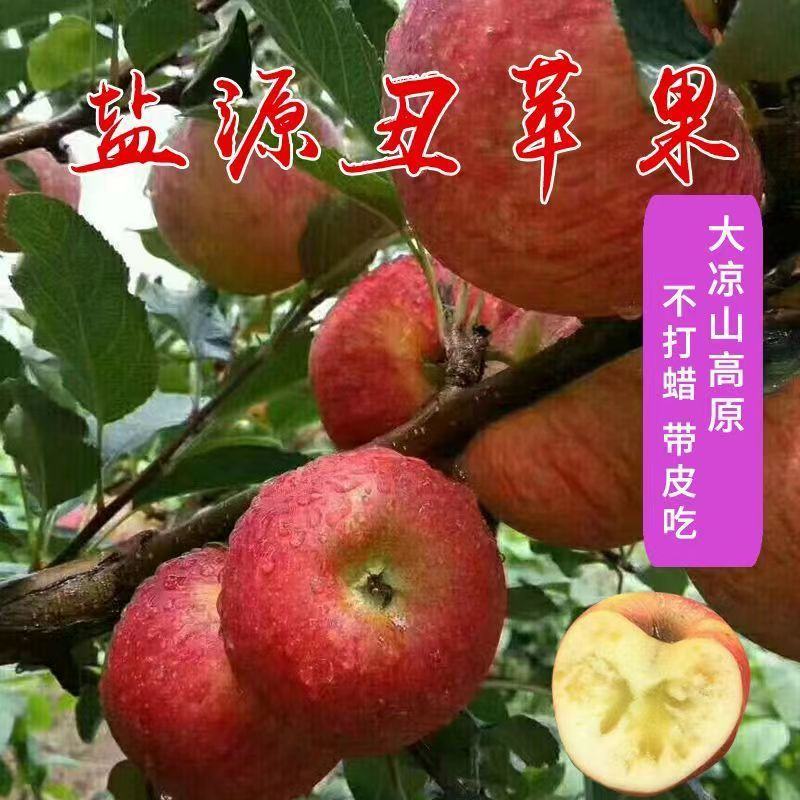 四川大凉山盐源糖心丑苹果盐源苹果西昌糖心苹果红将军