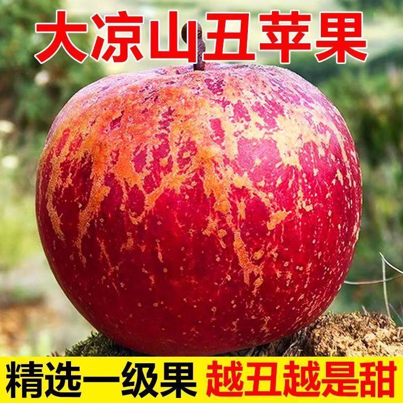 四川大凉山盐源糖心丑苹果盐源苹果西昌糖心苹果红将军
