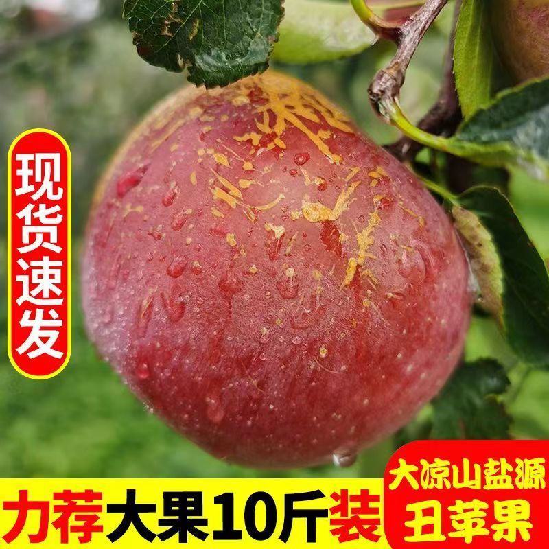 四川大凉山盐源糖心丑苹果盐源苹果西昌糖心苹果红将军