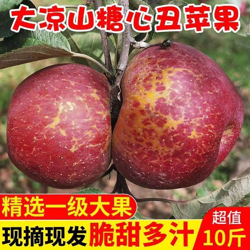 四川大凉山盐源糖心丑苹果盐源苹果西昌糖心苹果红将军