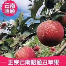 云南昭通冰糖心丑苹果新鲜水果当季富士脆甜孕妇小孩食苹果