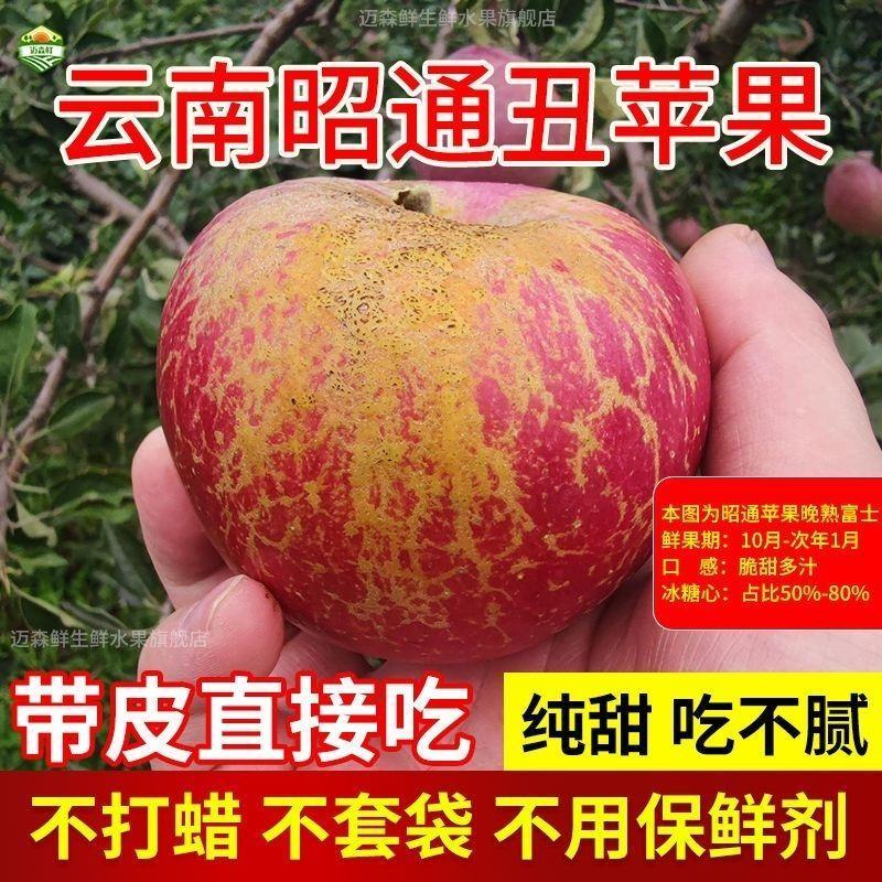 云南昭通冰糖心丑苹果新鲜水果当季富士脆甜孕妇小孩食苹果