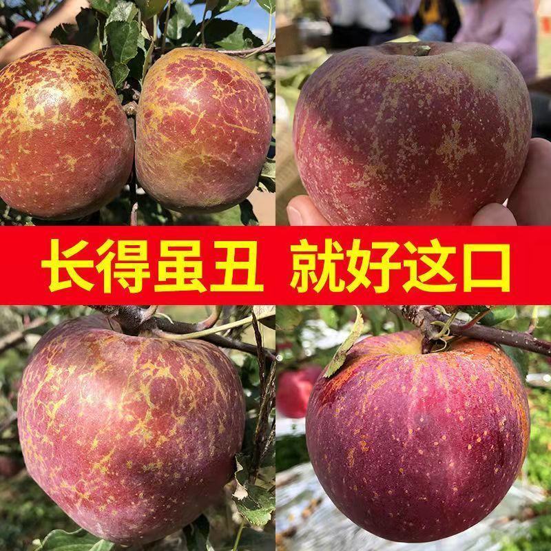 云南昭通冰糖心丑苹果新鲜水果当季富士脆甜孕妇小孩食苹果