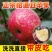 云南昭通冰糖心丑苹果新鲜水果当季富士脆甜孕妇小孩食苹果