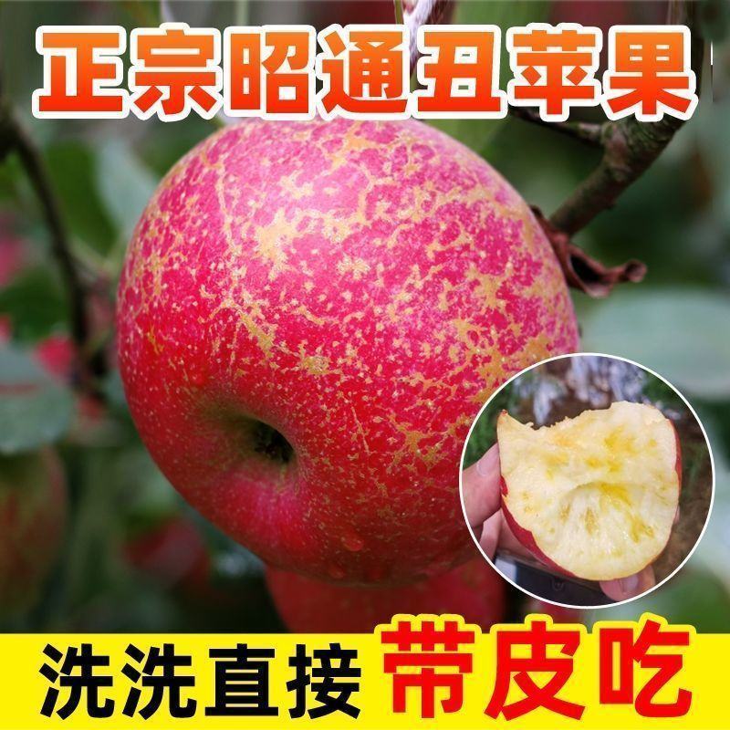 云南昭通冰糖心丑苹果新鲜水果当季富士脆甜孕妇小孩食苹果
