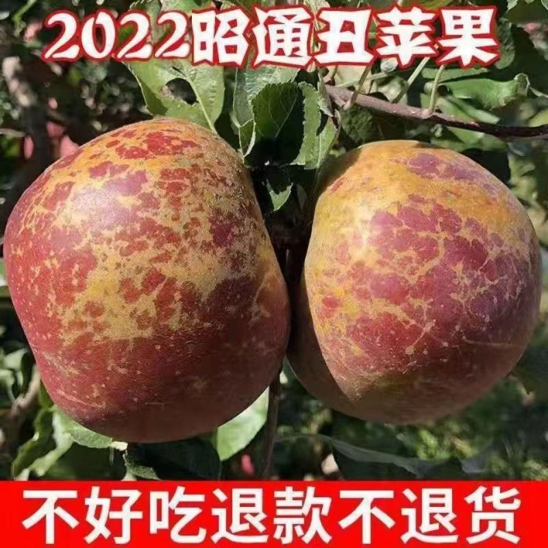 云南昭通冰糖心丑苹果新鲜水果当季富士脆甜孕妇小孩食苹果