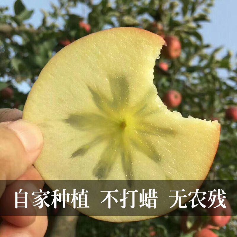 【新疆阿克苏冰糖心】红富士苹果水果新鲜脆甜整箱批发3/5