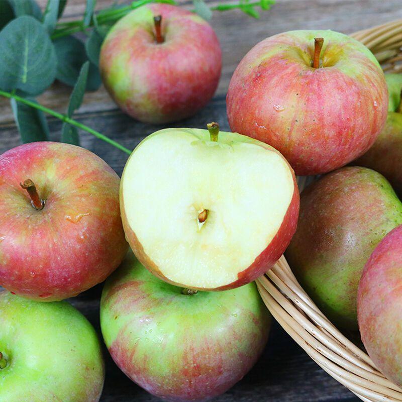 老树东北国光苹果当季新鲜水果新鲜包邮甜苹果特产2-5斤装
