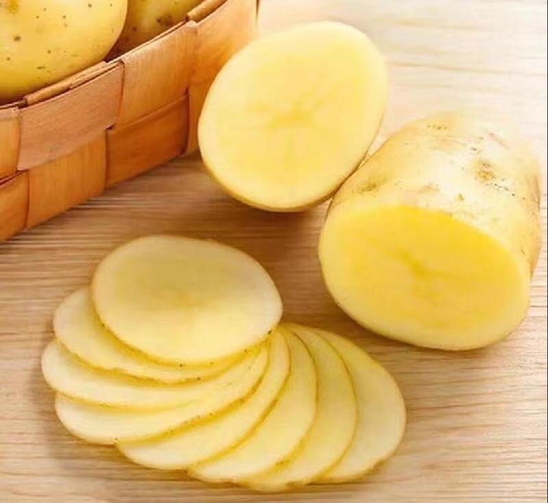黄心土豆实验一沃土希森中暑规格齐全一手货源