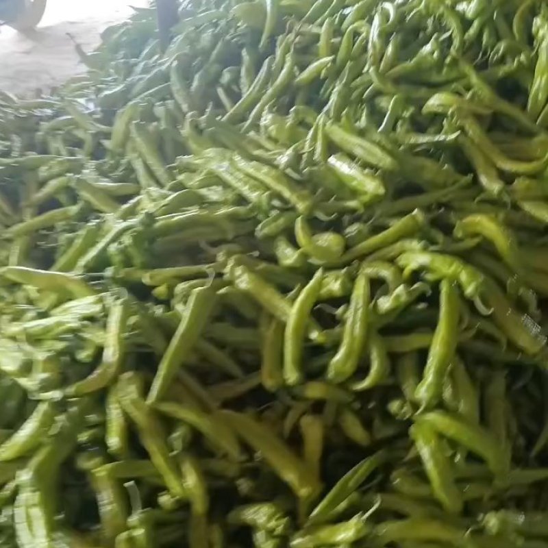 精品黄皮