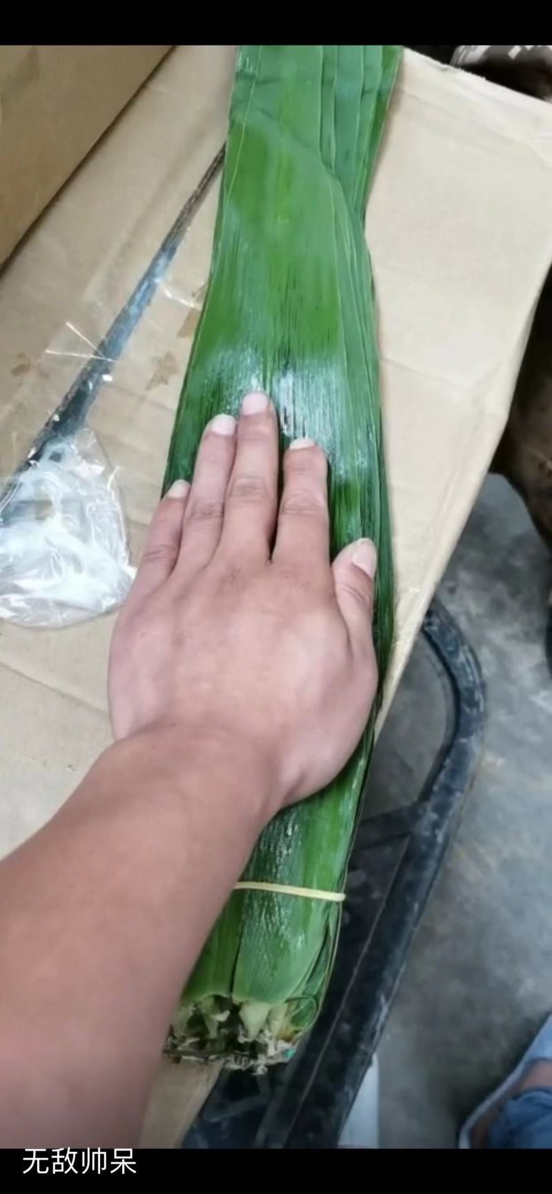 粽叶，芦苇叶，江苏产地直发，价格优惠，货源充足，欢迎采购