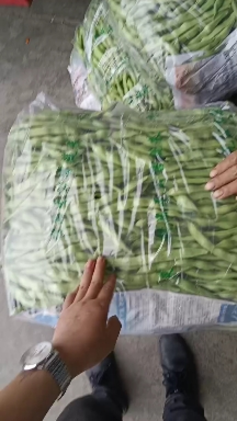 【大青豆】一手货源协助找车全国发货产地直发