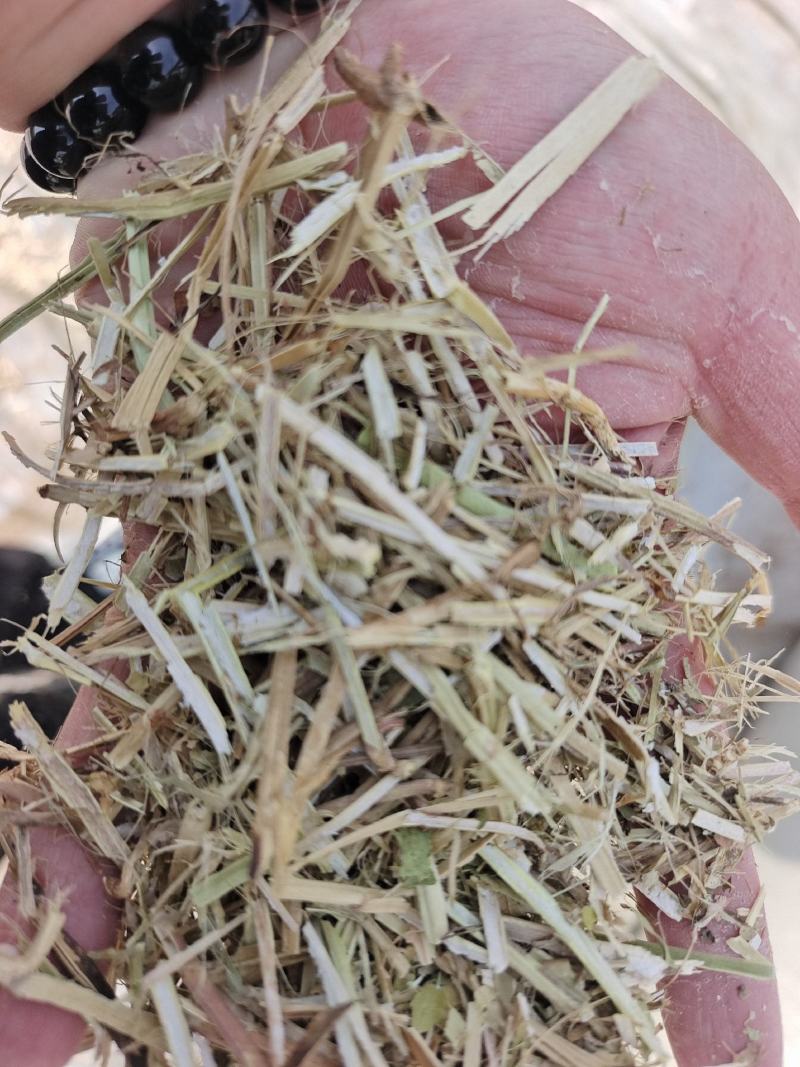 花生秧干草牧草饲料牛羊梅花鹿牧草骆驼各种食草动物