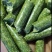苜蓿草颗粒牧草饲料牛羊牧草宠物专用支持一件代发
