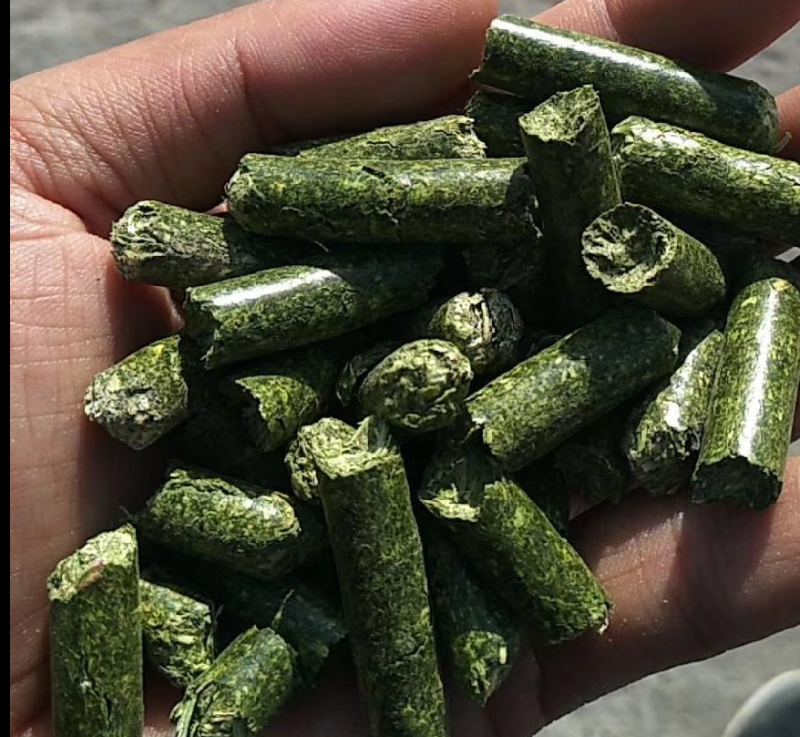 苜蓿草颗粒牧草饲料牛羊牧草宠物专用支持一件代发