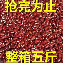 新货赤小豆农家自产长粒赤小豆五谷杂粮薏米仁组合煮粥包邮