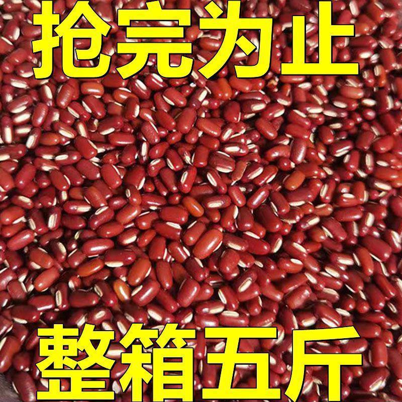新货赤小豆农家自产长粒赤小豆五谷杂粮薏米仁组合煮粥包邮
