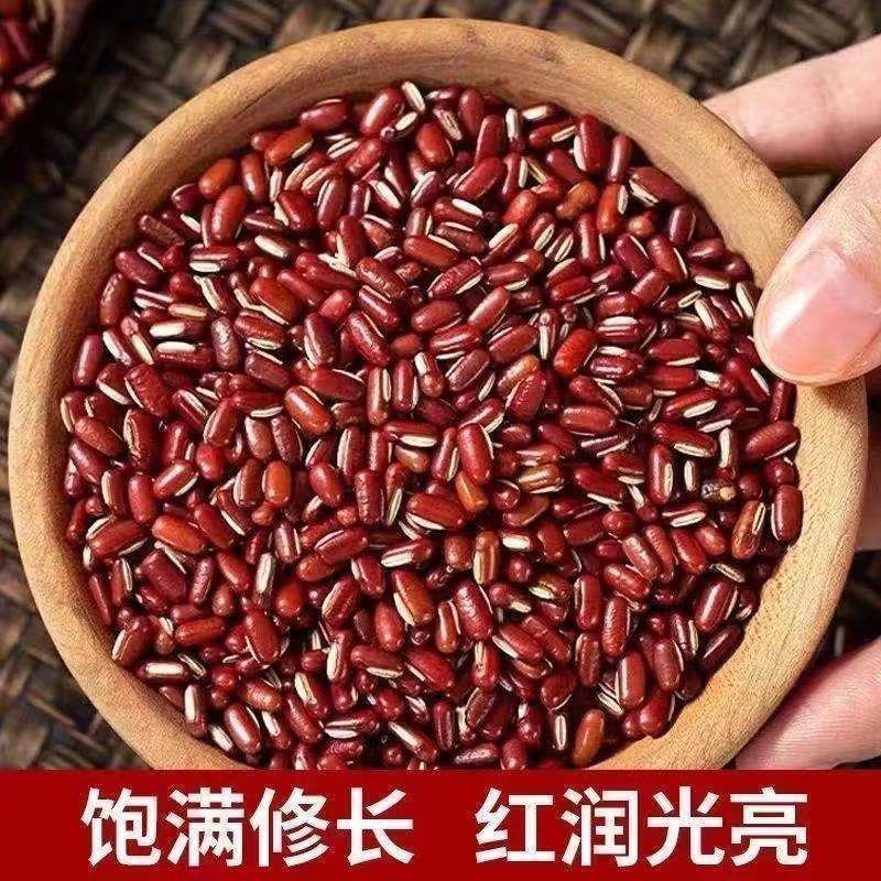 新货赤小豆农家自产长粒赤小豆五谷杂粮薏米仁组合煮粥包邮