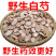中药材白芍无硫生白芍芍药片包邮白芍片生白芍药茶中草药白芍