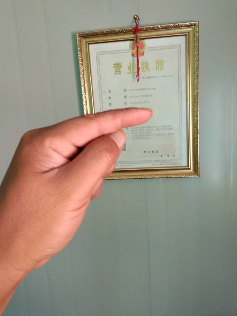 阳光玫瑰万亩基地欢迎您！