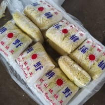 河北张家口坝上张北县黄心娃娃菜产地直供货好量大