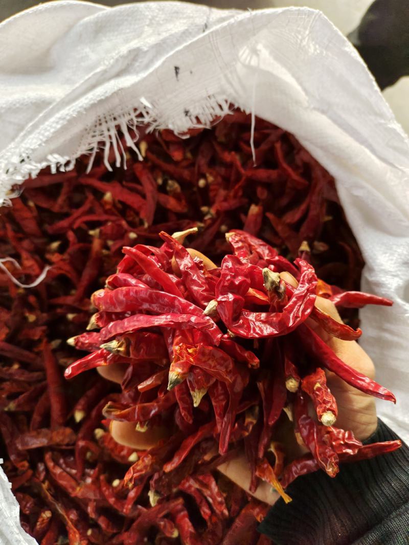 【精品】剪把印度椒辣椒打粉切断代加工代发欢迎订购