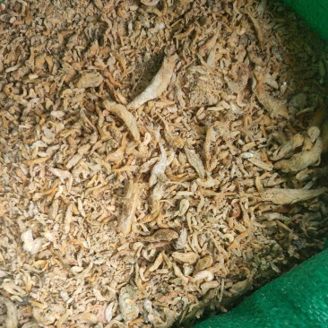 饲料鱼干
